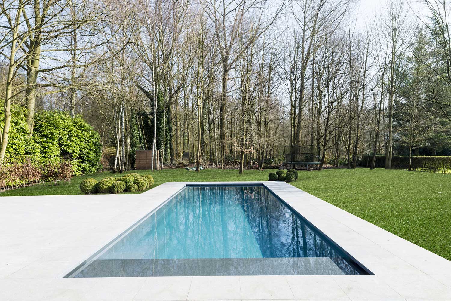 Modern Rectangular Pool